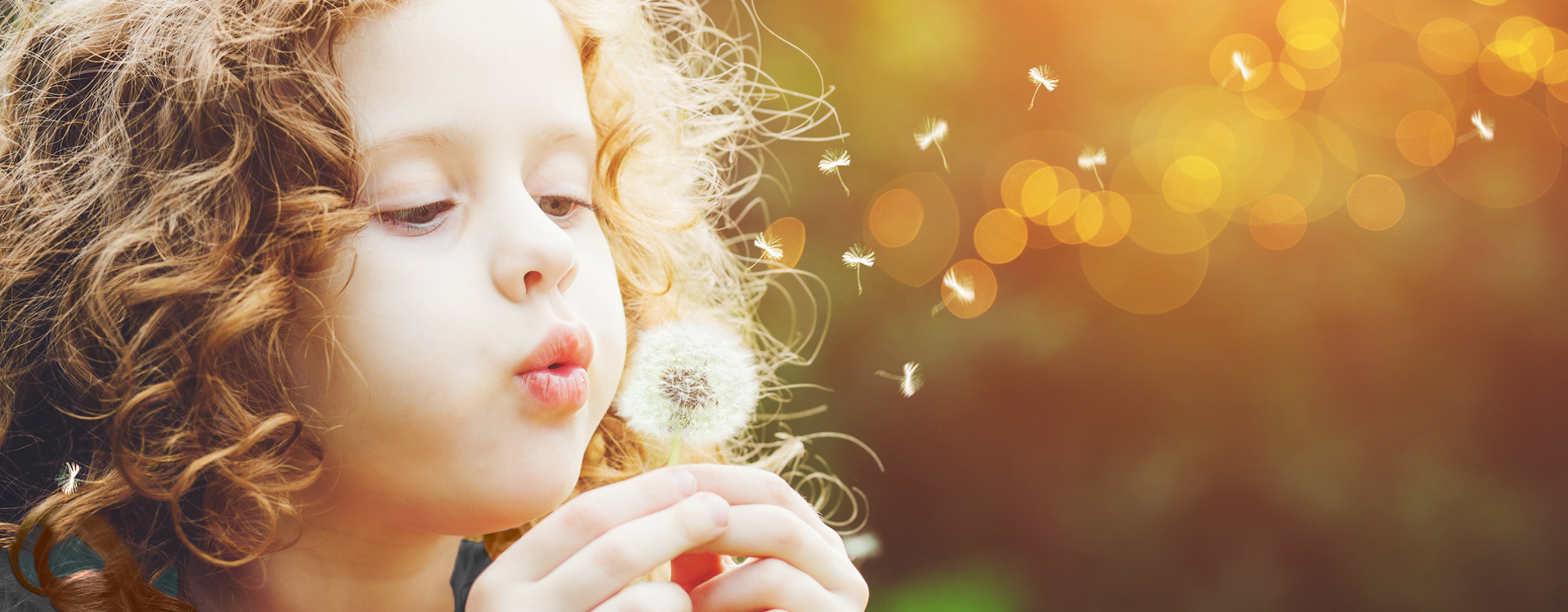 Assessments, counselling, group programs, ABA, Education, Speech and Language Services, parents support, naturopathic services, art therapy, psychological assessments, training